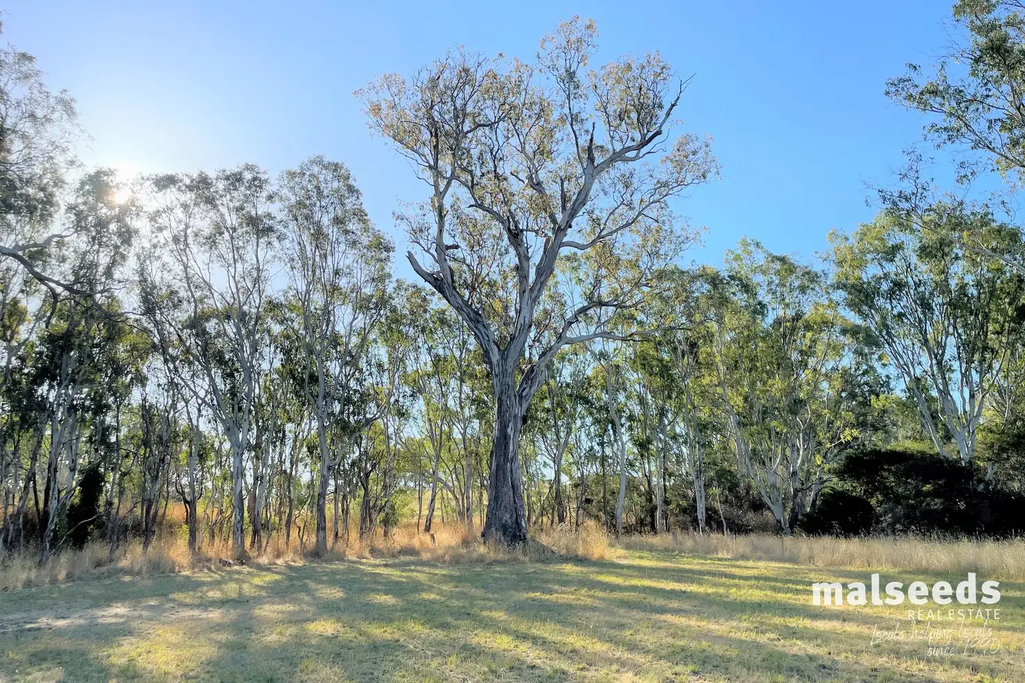 Main view of Homely land listing, LOT 1 Glenelg Highway, Wannon VIC 3301
