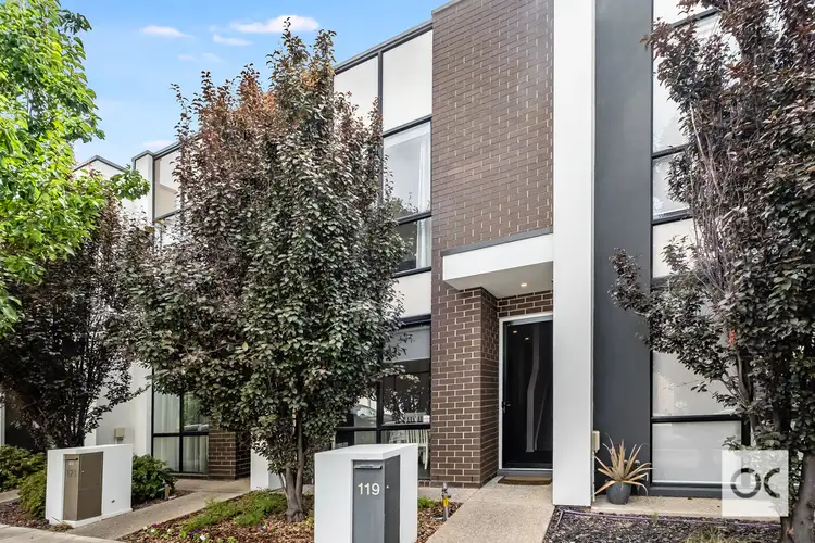 119 Brocas Avenue, St Clair SA 5011