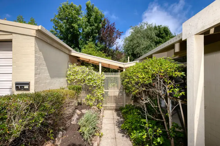 Third view of Homely townhouse listing, 1/36 Shackleton Circuit, Mawson ACT 2607