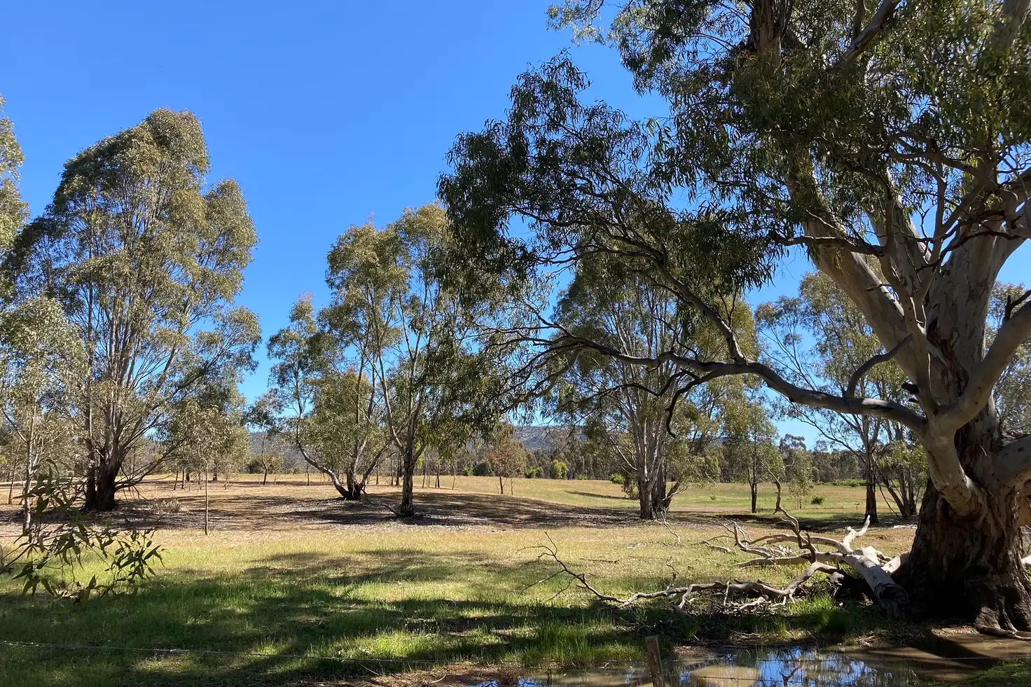 Main view of Homely rural property listing, Lot 1 65 Condon Lane, Mcintyre VIC 3472