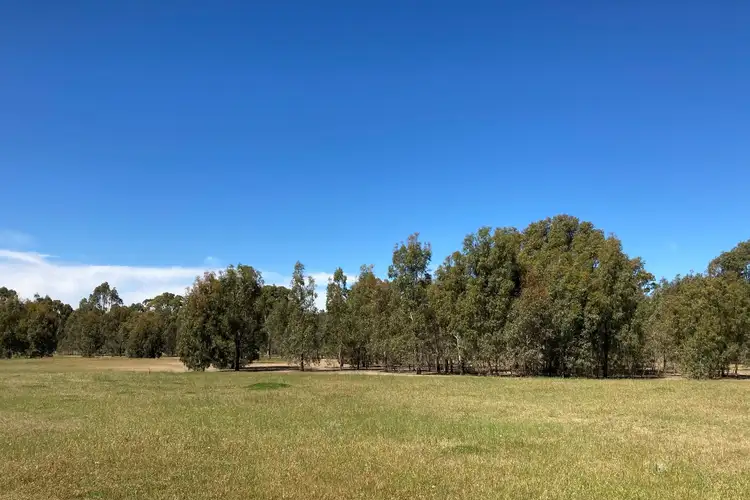 Third view of Homely rural property listing, Lot 1 65 Condon Lane, Mcintyre VIC 3472