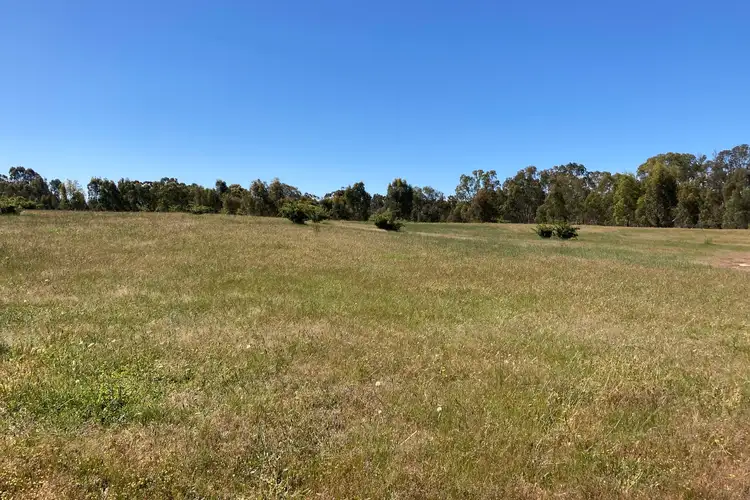 Fourth view of Homely rural property listing, Lot 1 65 Condon Lane, Mcintyre VIC 3472