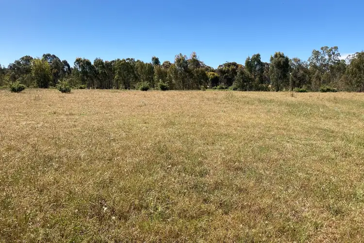 Seventh view of Homely rural property listing, Lot 1 65 Condon Lane, Mcintyre VIC 3472