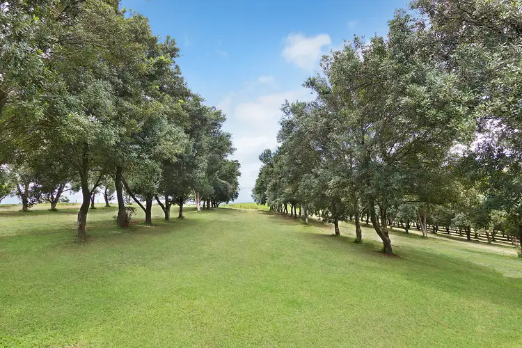 Fourth view of Homely rural property listing, 21 Grennan Road, Tregeagle NSW 2480