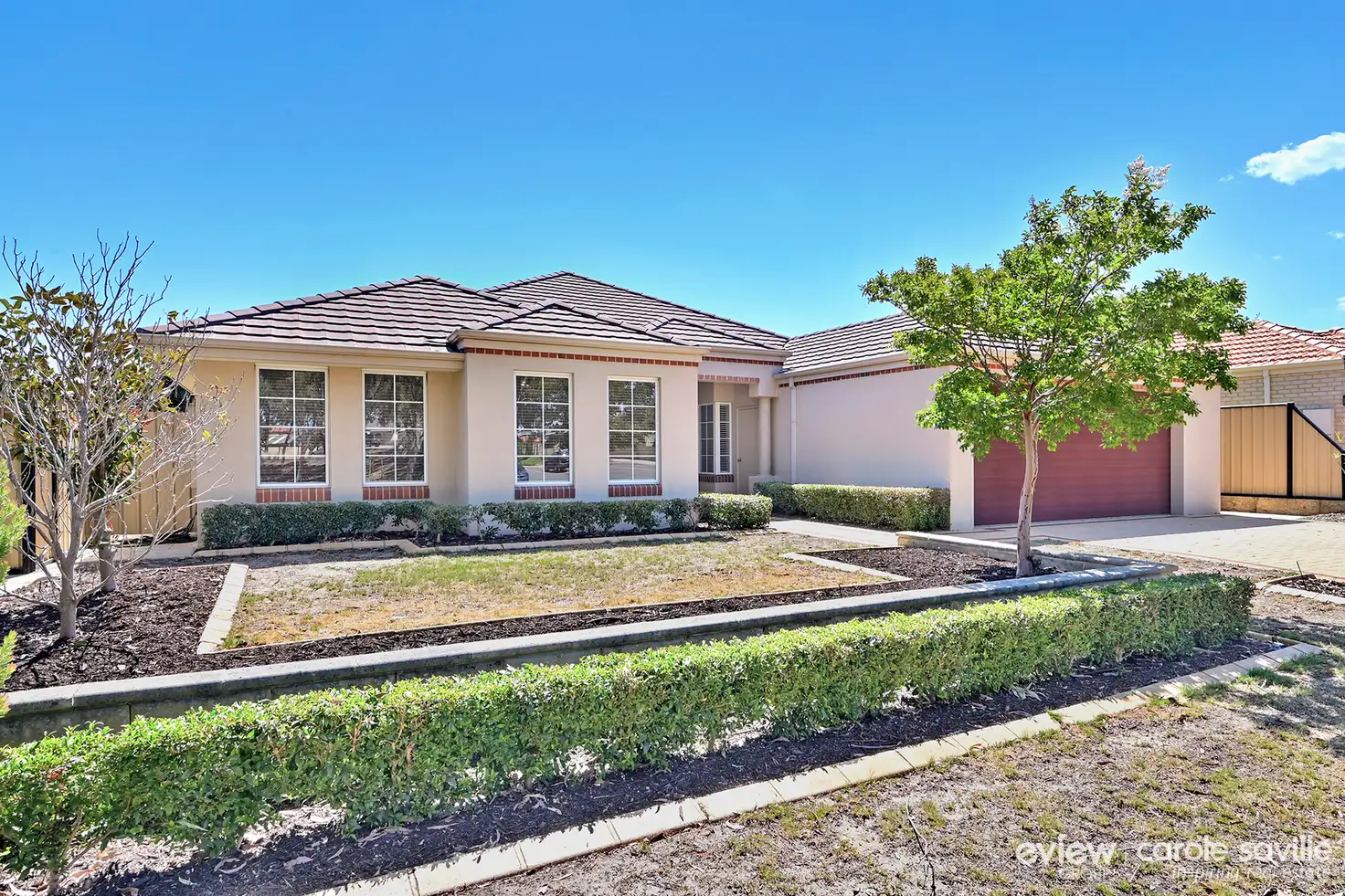 Main view of Homely house listing, 16 Ripplevale Circle, Carramar WA 6031