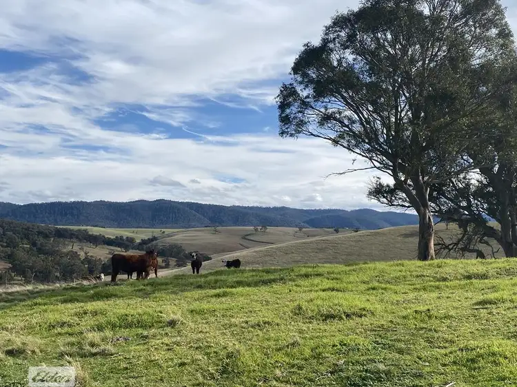 Main view of Homely rural property listing, 67 Chesterfield Road, Glenmaggie VIC 3858