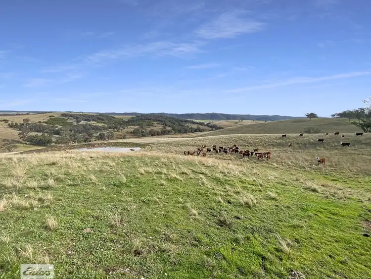 Third view of Homely rural property listing, 67 Chesterfield Road, Glenmaggie VIC 3858