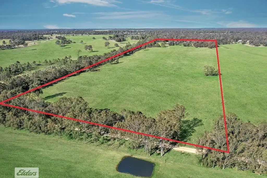 Main view of Homely rural property listing, 238 Cemetery Road, Briagolong VIC 3860