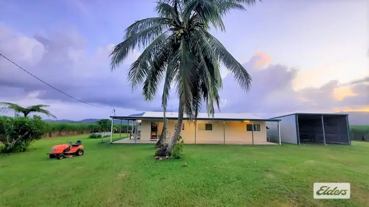 Main view of Homely house listing, 86 East Feluga Road, East Feluga QLD 4854