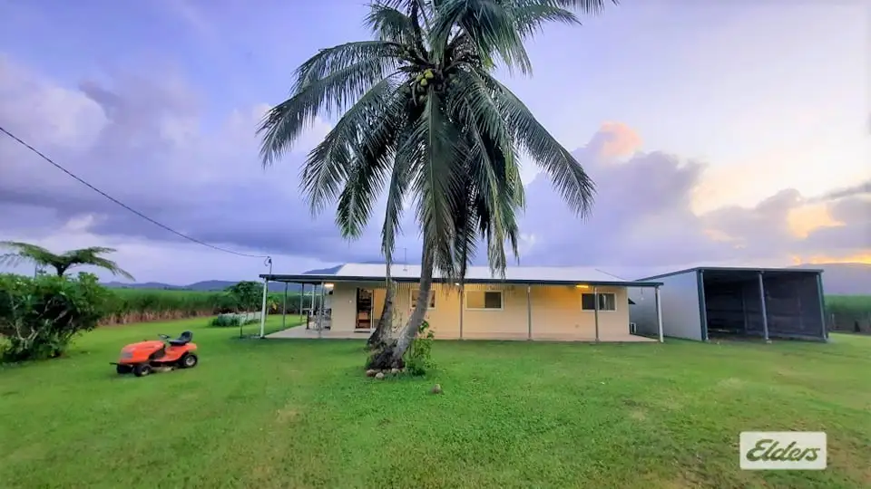 Main view of Homely house listing, 86 East Feluga Road, East Feluga QLD 4854