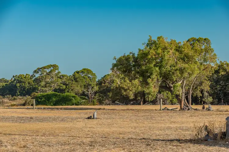 Fourth view of Homely house listing, 123 Duffy Terrace, Woodvale WA 6026