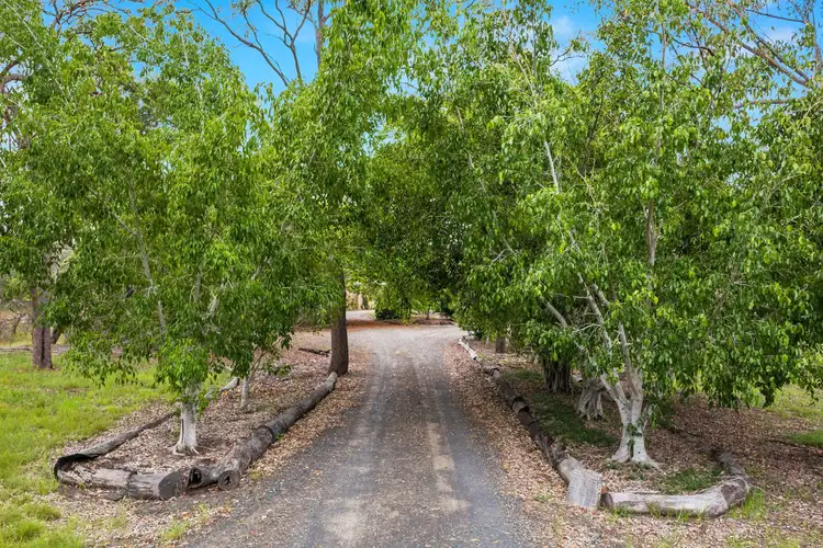 Sixth view of Homely rural property listing, 319 The Yachtsmans Drive, Burrum River QLD 4659