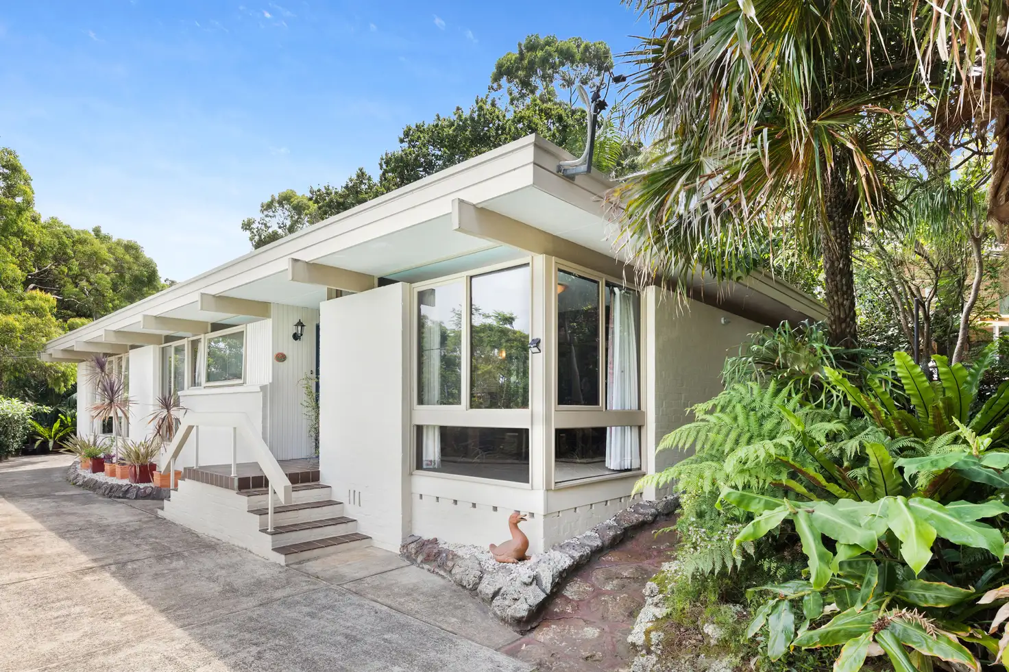 Main view of Homely house listing, 10 Ambrym Avenue, Frenchs Forest NSW 2086