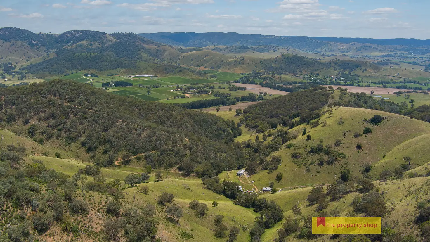Main view of Homely rural property listing, 53 Peach Tree Lane, Mudgee NSW 2850