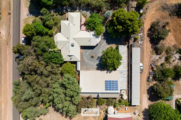 Fourth view of Homely house listing, 45 Fern Avenue, Irymple VIC 3498