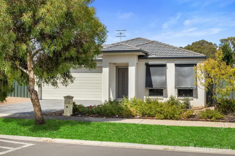 6 Triplett Avenue, Ascot VIC 3551