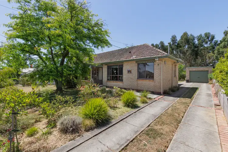 Main view of Homely house listing, 431 Cobden Street, Mount Pleasant VIC 3350