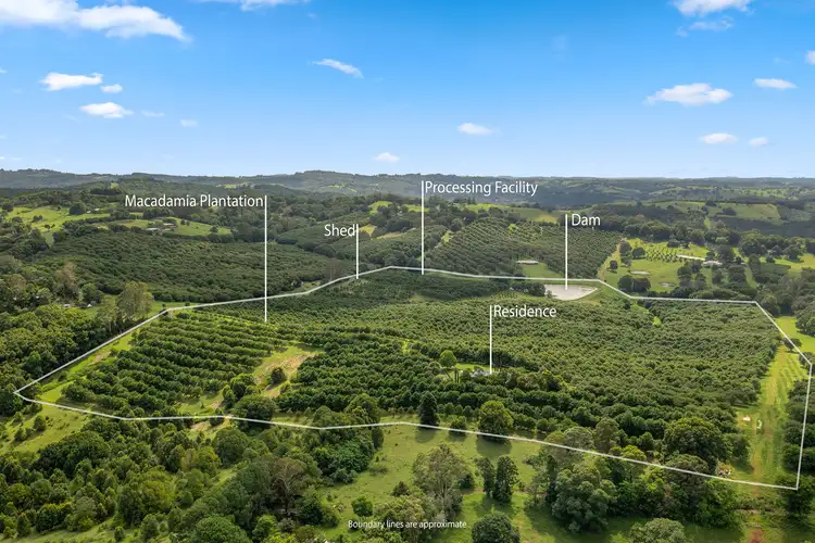 Second view of Homely rural property listing, 43 Lychee Drive, Rosebank NSW 2480