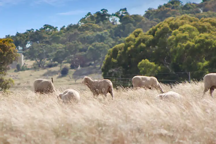 Sixth view of Homely land listing, LOT 108, 27 Dalton Road, Gunning NSW 2581