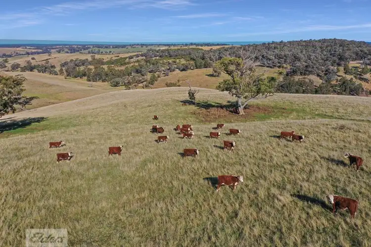 Third view of Homely rural property listing, 69 Chesterfields Road, Glenmaggie VIC 3858