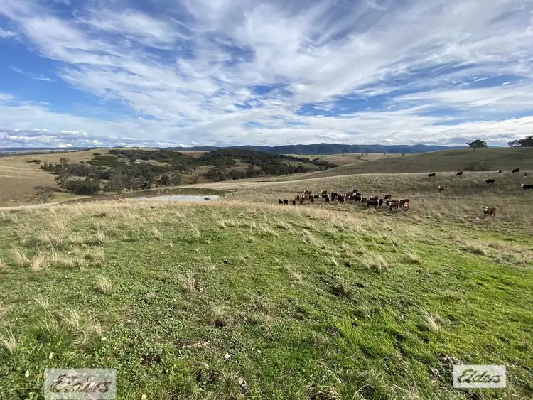 Third view of Homely rural property listing, 1480 Licola Road, Glenmaggie VIC 3858