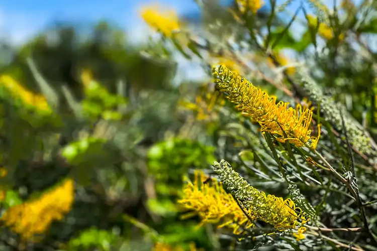 Fourth view of Homely house listing, 10 Mckenzie Street, Dayboro QLD 4521