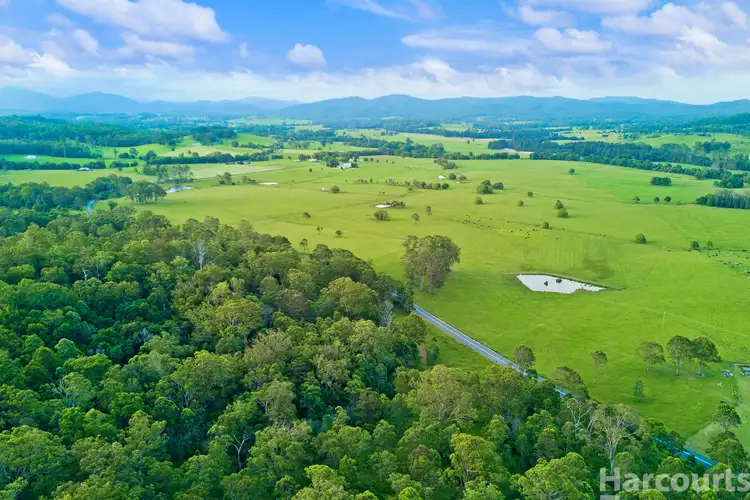 Third view of Homely rural property listing, LOT 3, 1218 Rollands Plains Road, Ballengarra NSW 2441