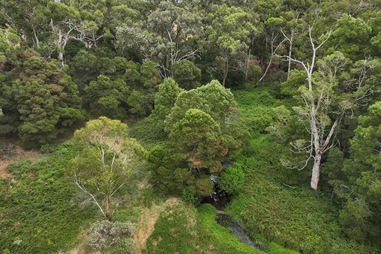 Third view of Homely land listing, 1035 Laang-Garvoc Road, Laang VIC 3265
