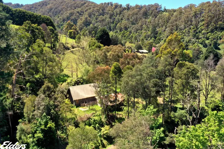 1974 Tarra Valley Road, Tarra Valley VIC 3971