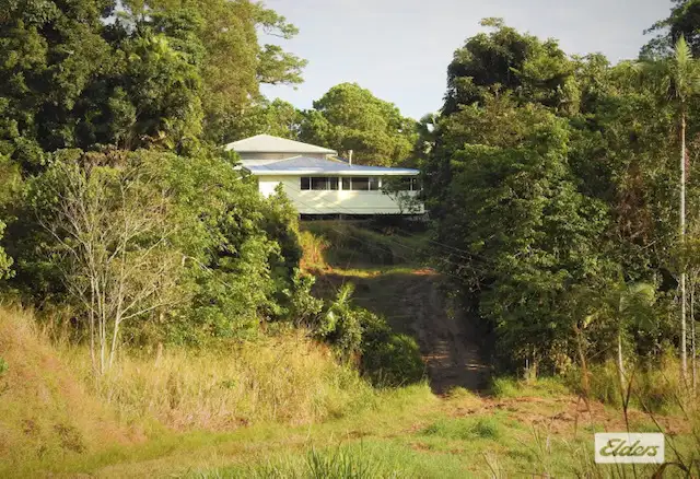 Main view of Homely land listing, 183 Jackson Road, El Arish QLD 4855