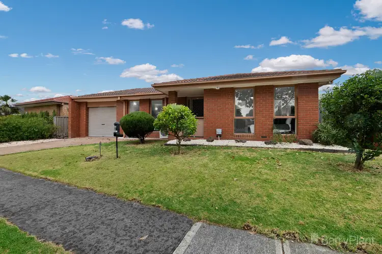 29 Norfolk Drive, Narre Warren VIC 3805