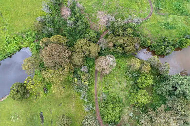 Fifth view of Homely house listing, 58 Single Ridge Road, The Slopes NSW 2754