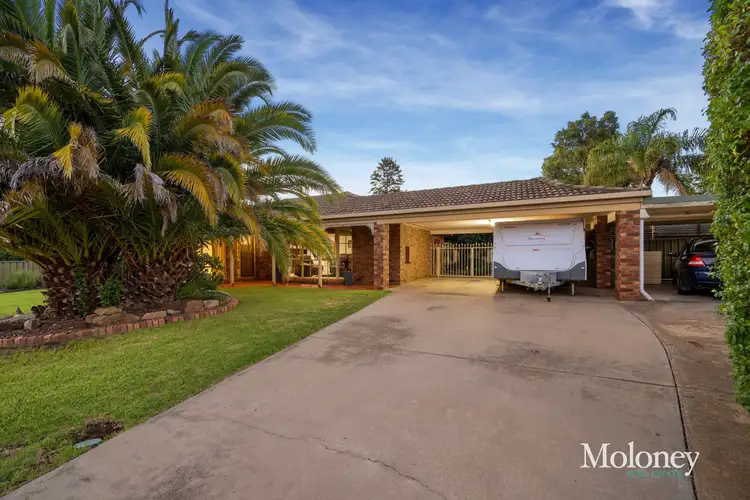 Main view of Homely house listing, 26 Shiraz Crescent, Corowa NSW 2646