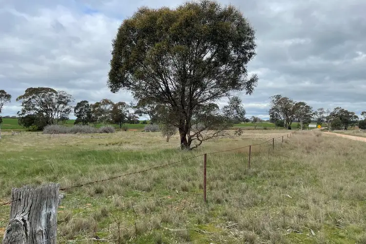 Second view of Homely rural property listing, 50E Nine Mile Mine Road, Nine Mile VIC 3518