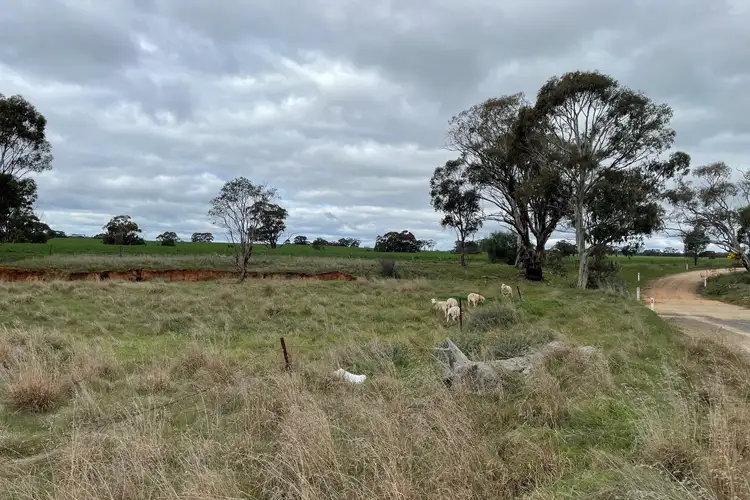 Third view of Homely rural property listing, 50E Nine Mile Mine Road, Nine Mile VIC 3518