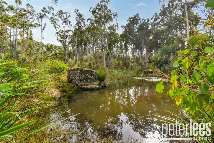Fourth view of Homely house listing, 810 Lilydale Road, Underwood TAS 7268