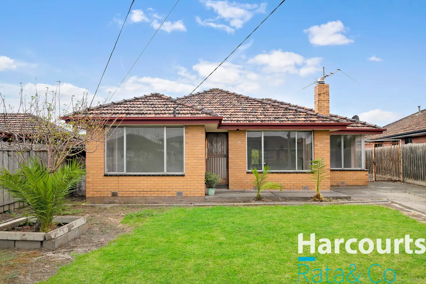 Main view of Homely house listing, 19 Bates Avenue, Thomastown VIC 3074