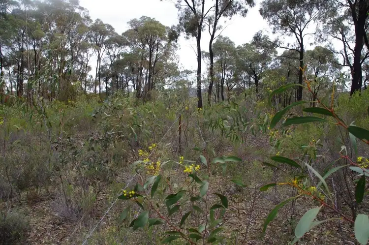 Fifth view of Homely land listing, Lot 2 Rooney Road, Mandurang South VIC 3551