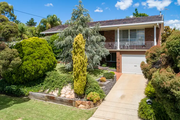 Main view of Homely house listing, 438 Rose Street, Lavington NSW 2641
