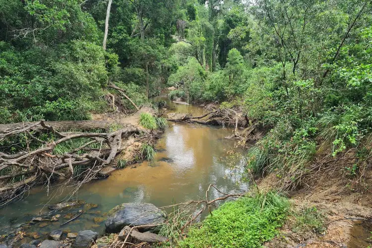 Fourth view of Homely land listing, 1054 Kangaroo Creek Road, Kangaroo Creek NSW 2460