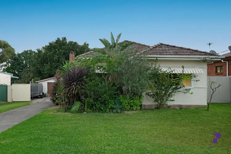 12 Bouvardia Street, Punchbowl NSW 2196
