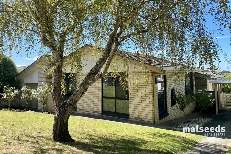 Main view of Homely house listing, 12 Kalimna Crescent, Mount Gambier SA 5290