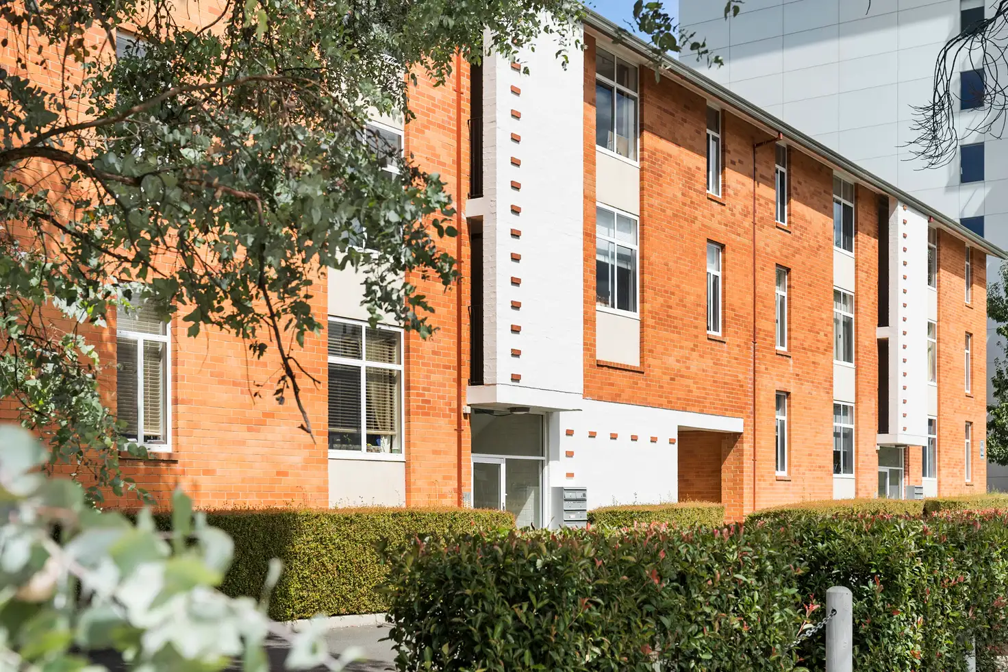 Main view of Homely apartment listing, 36/24 Moore Street, Turner ACT 2612