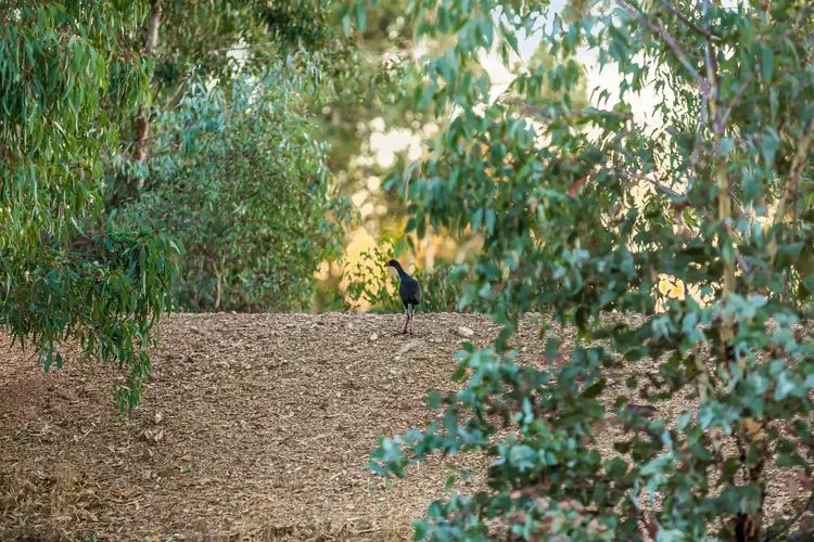 Third view of Homely land listing, 378 Sinclairs Road, Strathfieldsaye VIC 3551