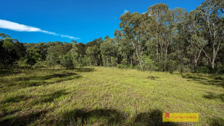 318 White Cedars Road, Mudgee NSW 2850