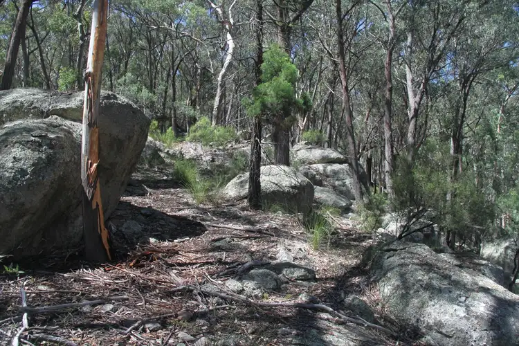 Third view of Homely rural property listing, 318 White Cedars Road, Mudgee NSW 2850