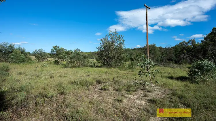 Fourth view of Homely rural property listing, 318 White Cedars Road, Mudgee NSW 2850