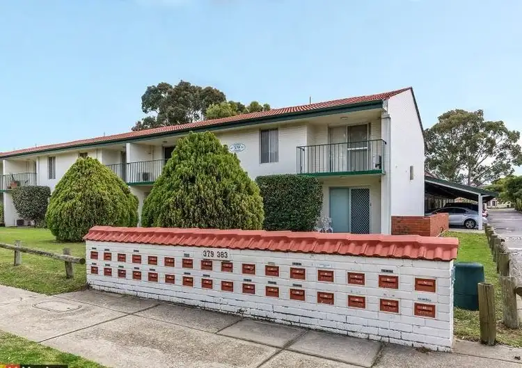 Main view of Homely apartment listing, 16/379 Hector Street, Yokine WA 6060