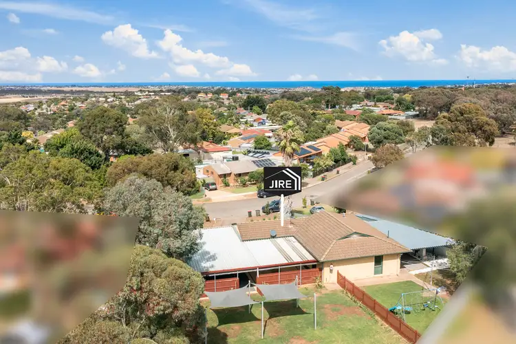 Main view of Homely house listing, 31 Challenge Drive, Noarlunga Downs SA 5168
