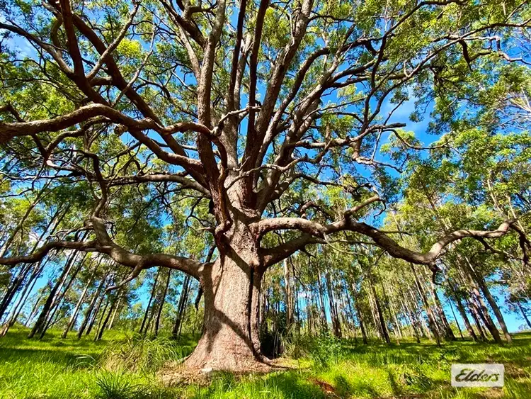 Third view of Homely rural property listing, LOT Lots 61 & Lower Kangaroo Creek Road, Coutts Crossing NSW 2460